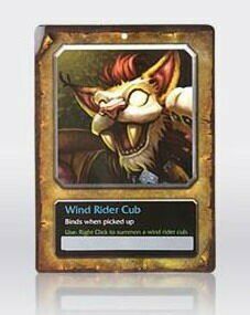 Wind Rider Cub - М'яка іграшка + внутрішньо вихованець 